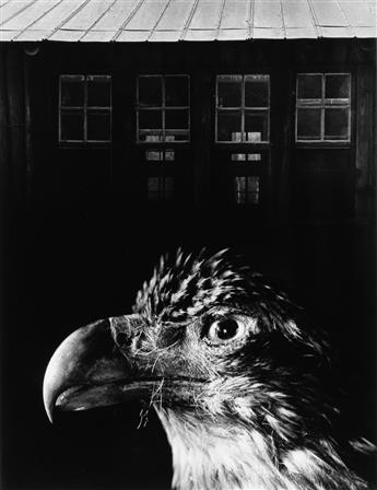 JERRY UELSMANN (1934- ) Jerry N. Uelsmann Portfolio.